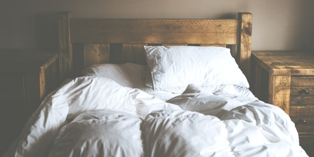 Comment se débarrasser de punaises de lit dans son logement ? débarrasser son logement des punaises de lit