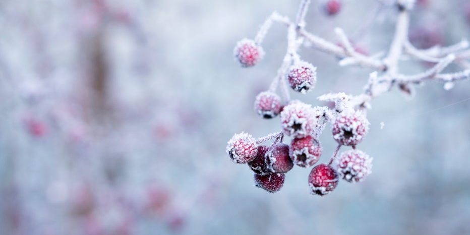 Dates et modalités de la trêve hivernale 2018-2019 Dates et modalités de la trêve hivernale 2018-2019