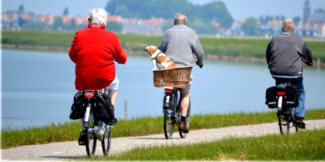 Seniors, vivre en colocation pour ne pas se sentir seul seniors, vivre en colocations pour ne plus se sentir seul