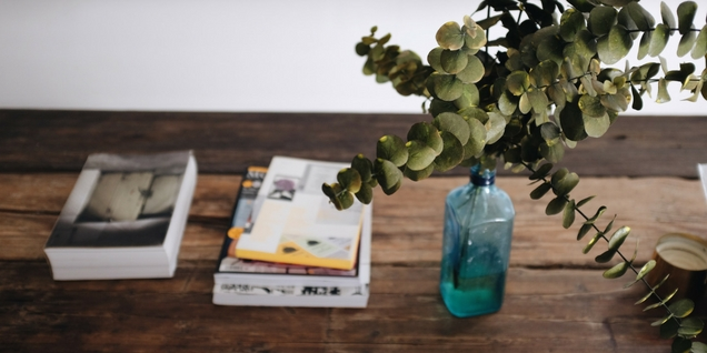 Tendance déco : entre plantes vertes et fleurs séchées décoration plantes et fleurs séchées pour l'intérieur